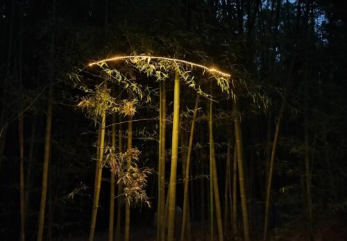 竹林キャンプ場の照明設計