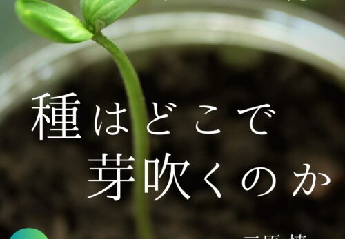 新STEAM教育　「種は、どこで芽吹くのか？」